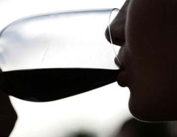 Weinanbau auf Mallorca